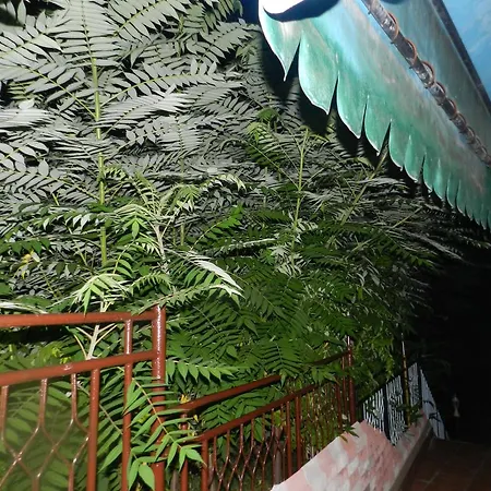 Pansion Keny